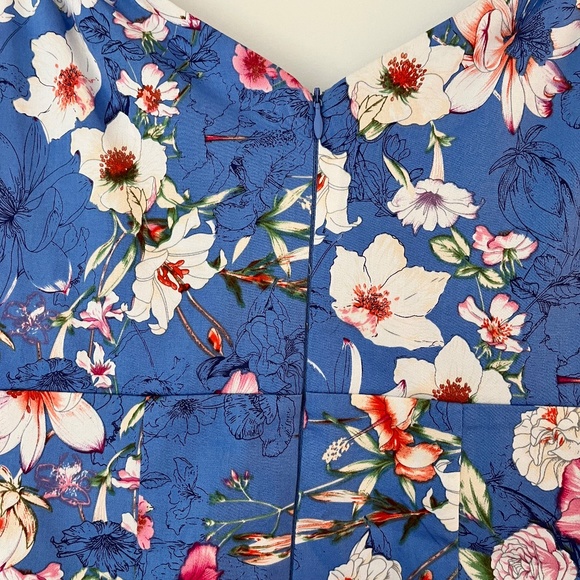 Cleo Petite Floral Sleeveless Cotton Dress - Picture 10 of 12